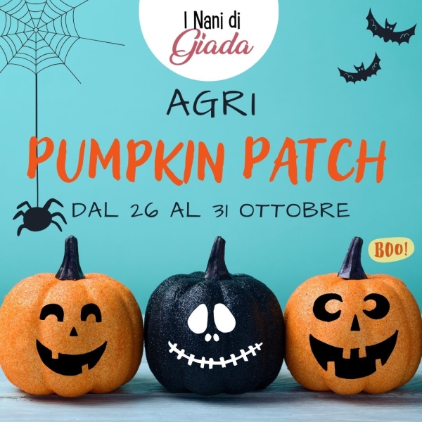 pumpkin_patch_locandina_sito
